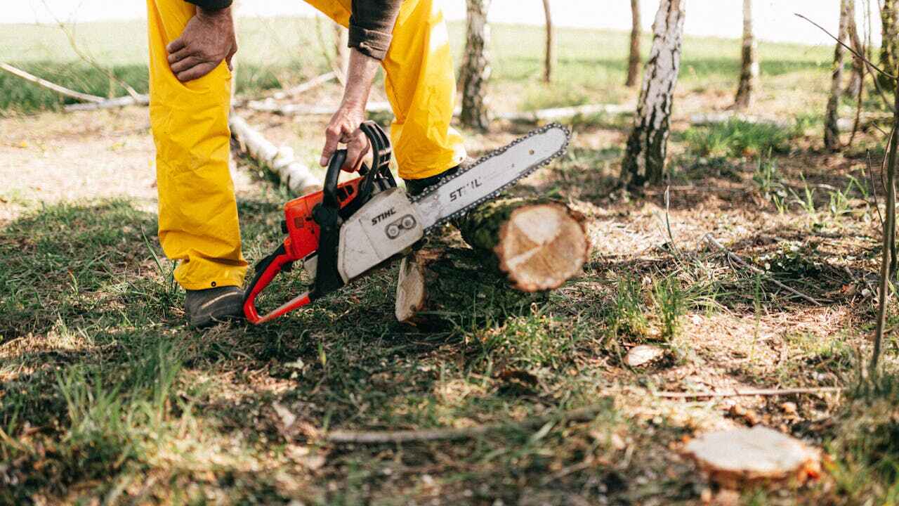 Best Emergency Tree Service  in Lithia Springs, GA